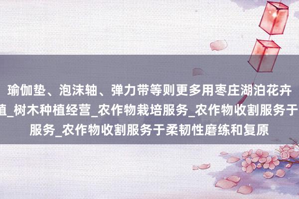 瑜伽垫、泡沫轴、弹力带等则更多用枣庄湖泊花卉有限公司_花卉种植_树木种植经营_农作物栽培服务_农作物收割服务于柔韧性磨练和复原