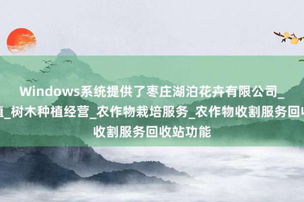 Windows系统提供了枣庄湖泊花卉有限公司_花卉种植_树木种植经营_农作物栽培服务_农作物收割服务回收站功能